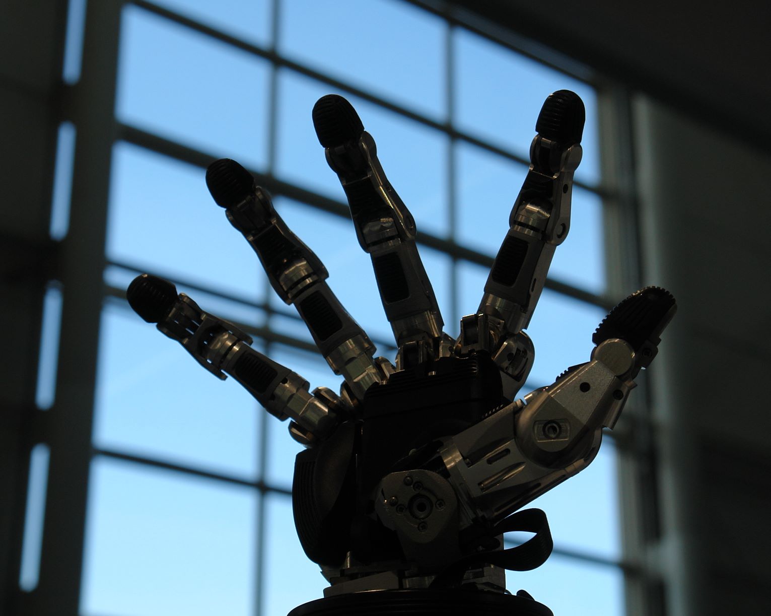 Multi-fingered robotic hand with articulated joints